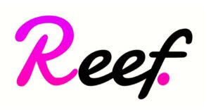 Reef Layer 1