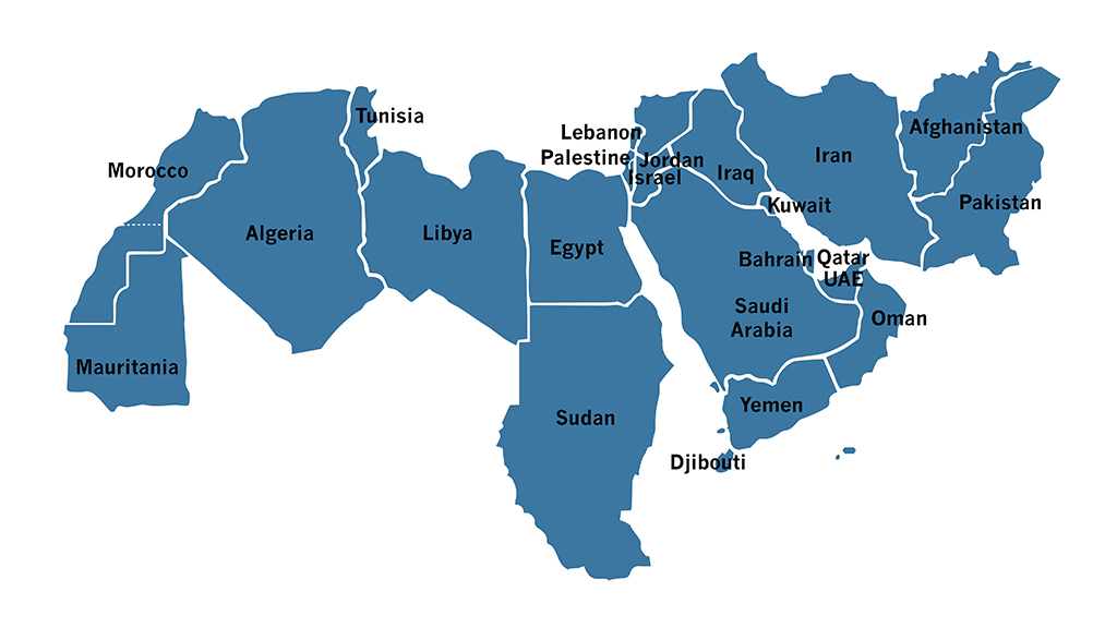 the Middle East and North Africa (MENA) region has the fastest-growing cryptocurrency market in the world