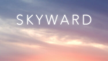 Skyward Finance hacked