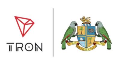 TRON Takes the Lead in Developing the Digital Identification Program for Dominica Metaverse