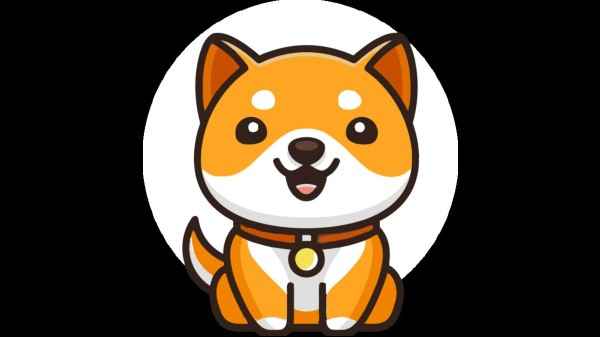 Baby DogeCoin has been making waves in the crypto market recently,