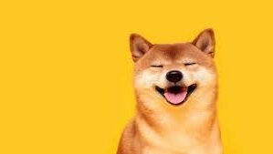 Anonymous whales have transferred nearly 5 billion Shiba Inu meme coins