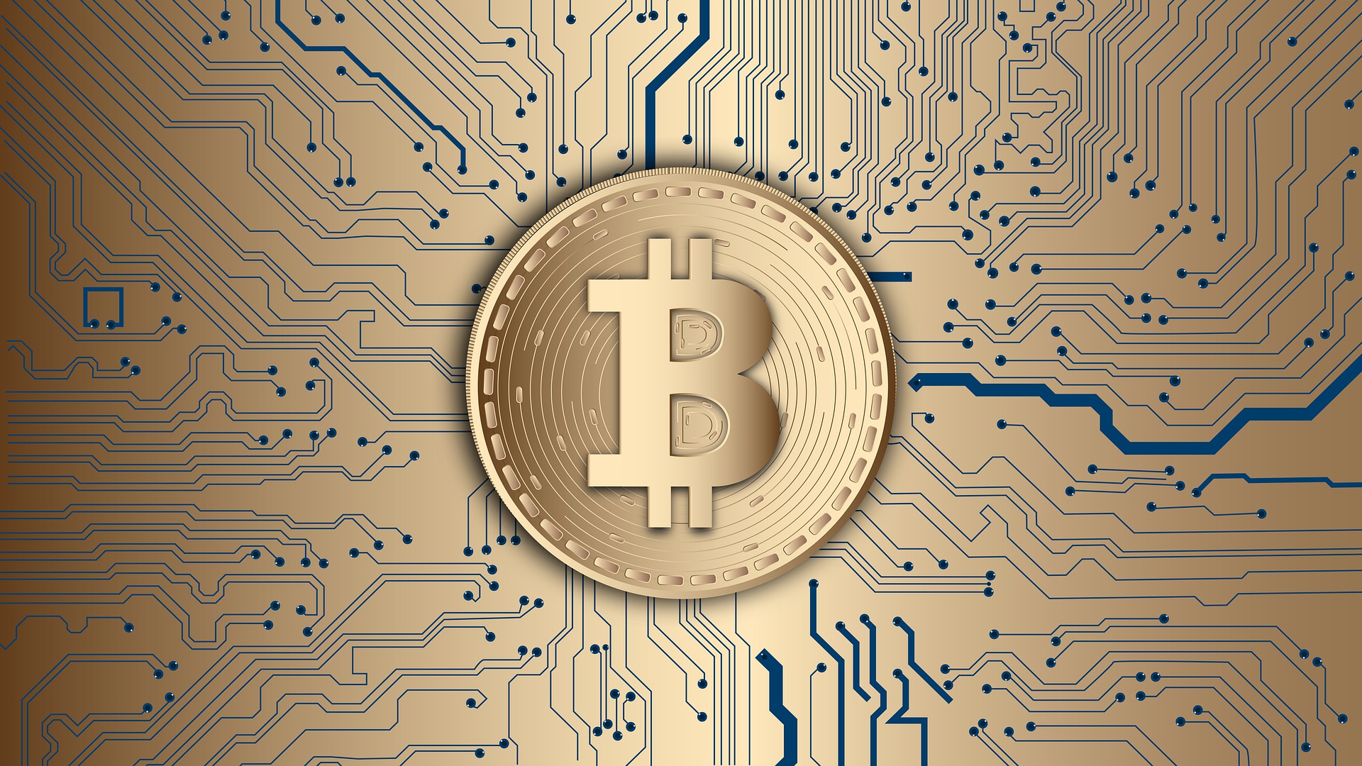 Bitcoin Price Up 3.98% in 24 Hours
