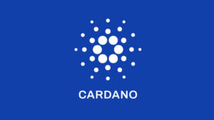 Cardano is set to offer a robust infrastructure and foster innovation in the decentralized ecosystem