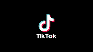 A TikTok influencer admitted to obtaining more than $1.2 million in government relief loans