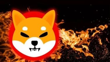 the SHIB community has burned a total of 50,258,924 SHIB within the past 24 hours.