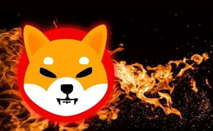 the SHIB community has burned a total of 50,258,924 SHIB within the past 24 hours.