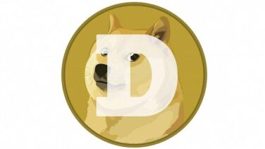 DOGE Transactions Soar 8,220% in May