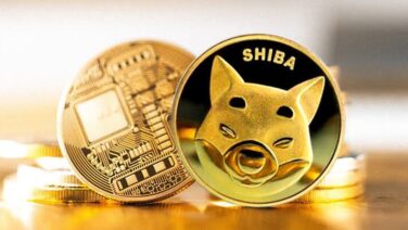 crypto analyst Austin Hilton shed light on the Shiba Inu token (SHIB) and its companion tokens