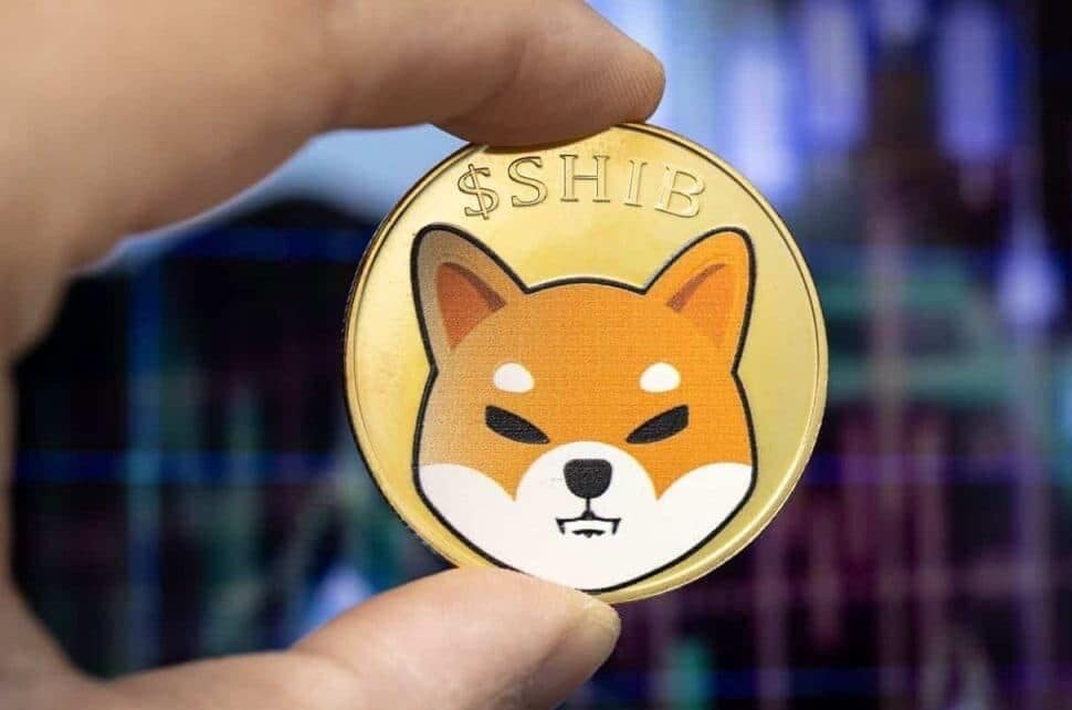Shiba Inu Whales Amass 1 Trillion SHIB Tokens in Just 8 Weeks