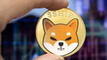 SHIB has achieved a remarkable 30% gain over the past month