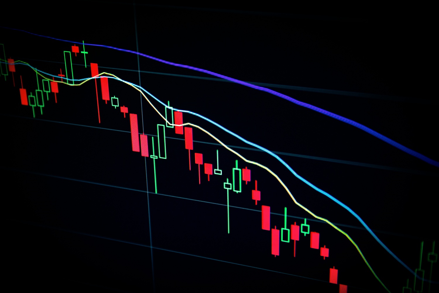 BONE and SUI Tokens Surge 20%, BTC Stuck at $26K