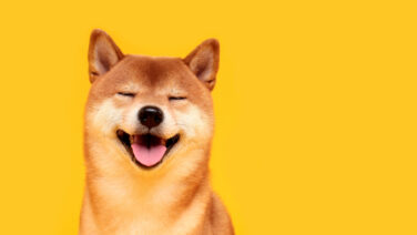 A staggering 478 billion Shiba Inu (SHIB) tokens are making waves on the network