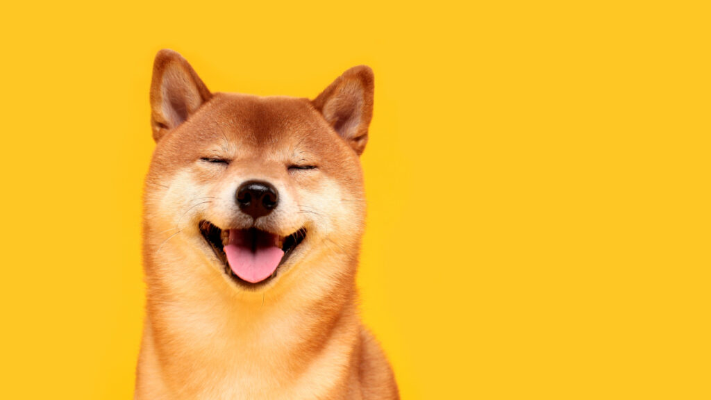 Shiba Inu (SHIB) token experienced a significant burn rate increase of more than 300% within a mere 24 hours.