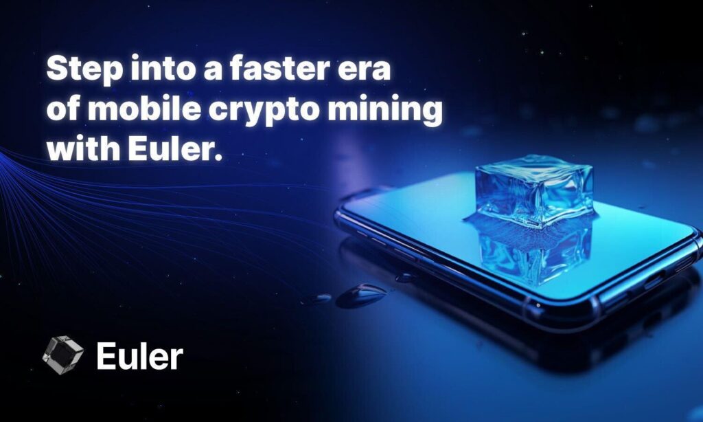Euler Network