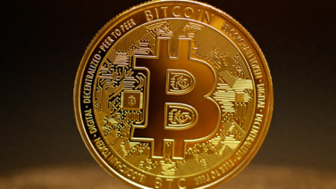VanEck Predicts $2.4 Billion Surge in Bitcoin ETFs and Major Crypto Market Changes in 2024