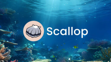 The Rise of Scallop Protocol on Sui