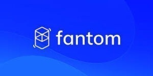 Fantom (FTM) has reached a 12-year high of $1.08,