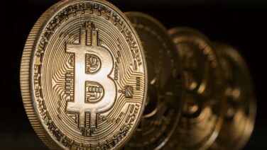 Bitwise CIO sees Bitcoin volatility halving as institutional investments surge