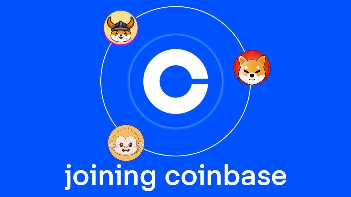 Floki Inu And SHIB Whale Activity Wanes MoonBag Meme Coin Coinbase Rumors