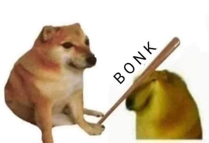 BONK (BONK) meme coin drops 40%, hitting monthly low