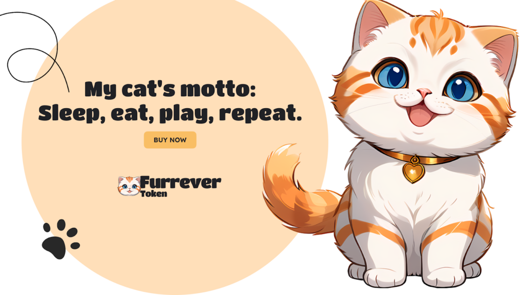 How Furrever Token Fits into This Crypto Drama