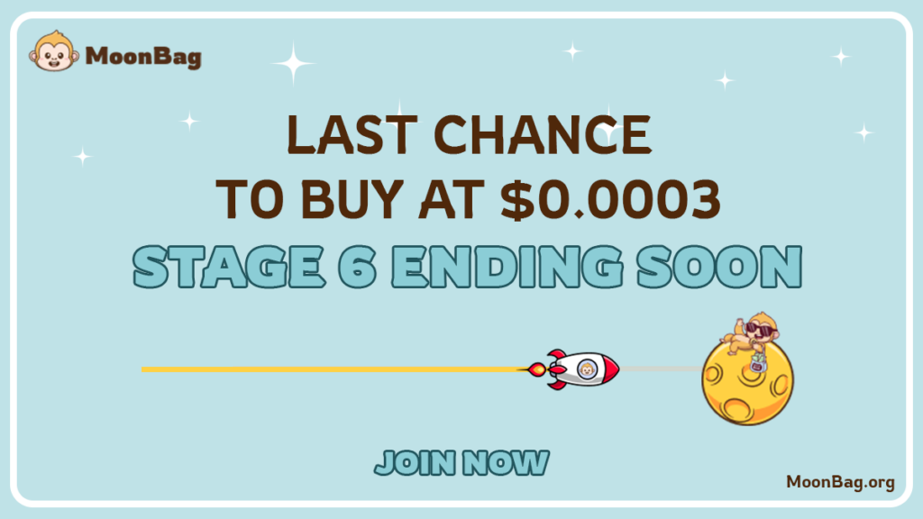Best Crypto Presale in 2024: MoonBag Leaves Bonk, Brett Behind