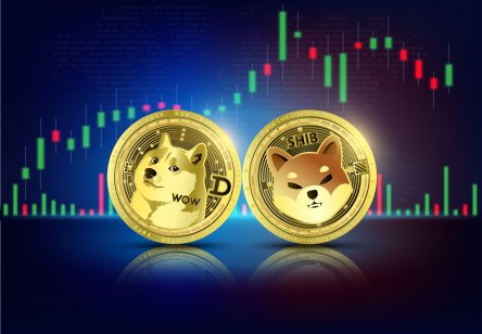 Dogecoin (DOGE) and Shiba Inu (SHIB) recover by 11% and 16% in the last 24 hours