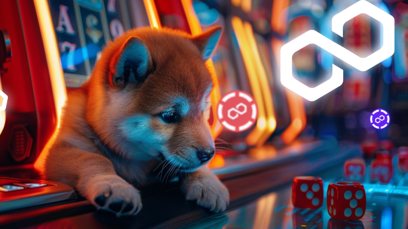 MATIC and Bitcoin Cash (BCH) Holders Have Been Doubling Down On This New Altcoin Set For 200x Gains