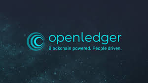 The sovereign data blockchain for AI OpenLedger raises $8 million in its seed round led by Polychain Capital