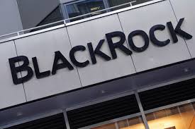 BlackRock is now the largest digital asset fund manager, with an AUM of $22 billion