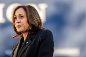 Kamala Harris's campaign advisors says her presidency may embrace a prudent stance towards crypto