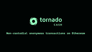 Tornado Cash Developer Alexey Pertsev is raising funds for his legal defense in the Netherlands