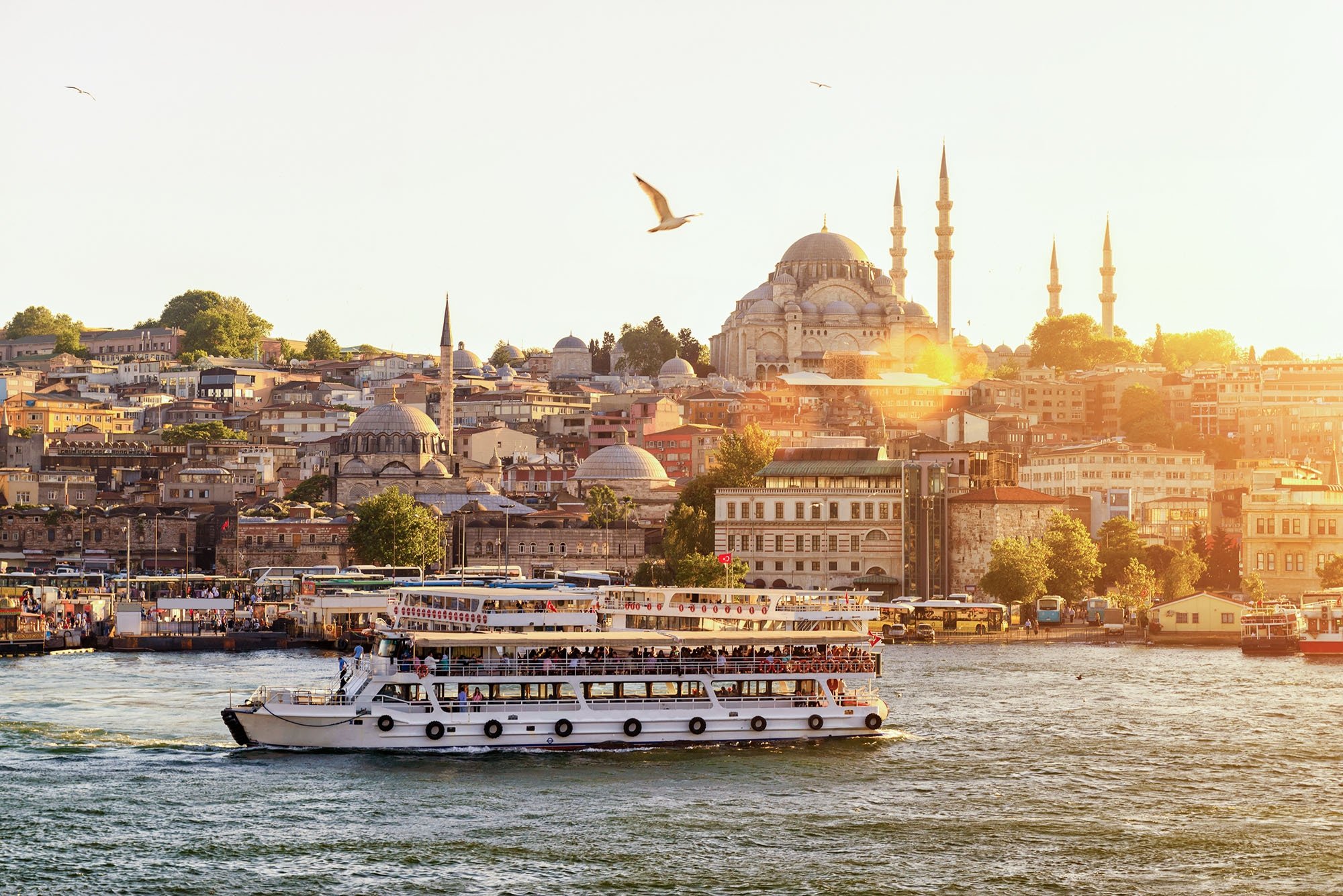 Turkey’s Crypto Boom: License Count Soars to 76