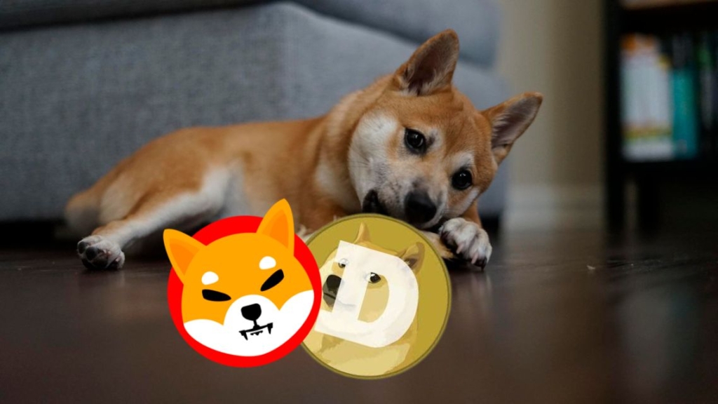 Doge Vs. Shiba: Who Will Reign Supreme in the Meme Coin Kingdom Next Year? Or This New Bullish Coin with Unbelievable 19,900%?