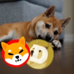 Doge Vs. Shiba: Who Will Reign Supreme in the Meme Coin Kingdom Next Year? Or This New Bullish Coin with Unbelievable 19,900%?