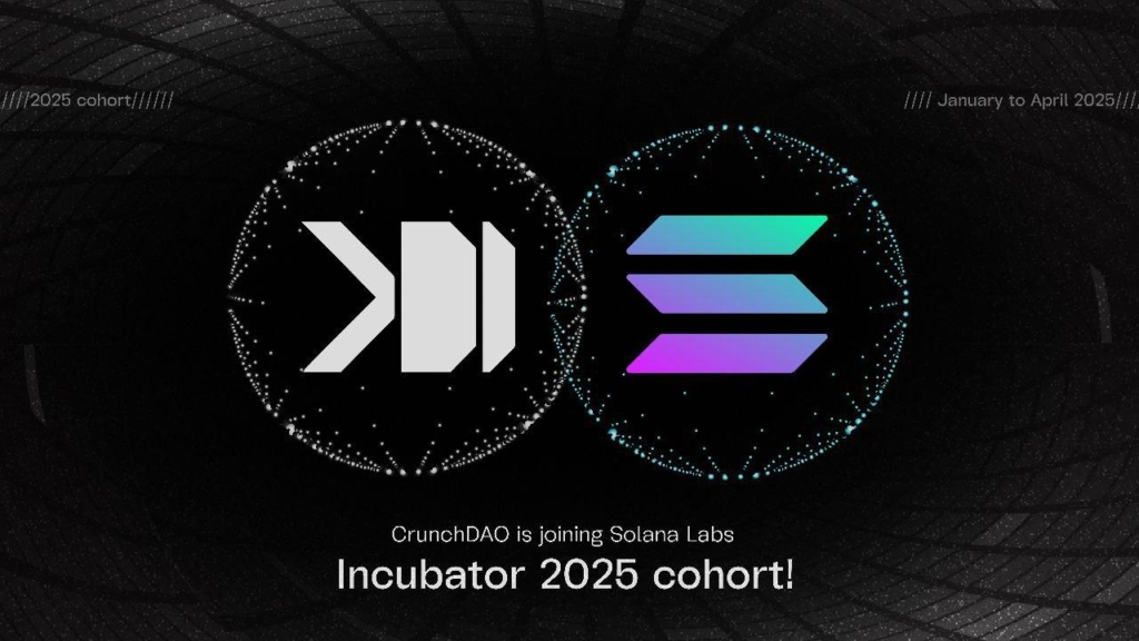 Crunch Joins Solana Incubator: Decentralized AI Research Receives Solana Labs Support