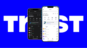 Trust Wallet emphasizes the importance of integrating wallets into mainstream financial technology. This will help more people access crypto