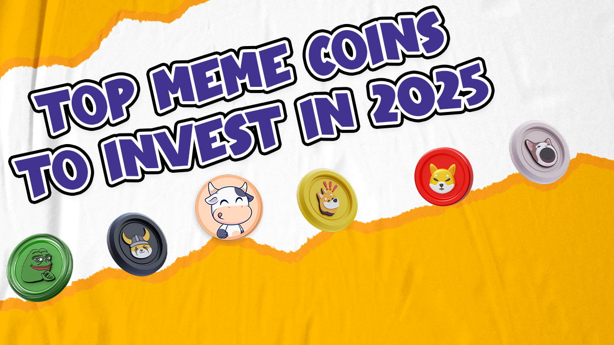 Over 11,500 Bulls Crown BTFD Presale a Top New Meme Coin for Significant Returns—2900% ROI Sparks Frenzy
