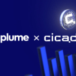 Plume and Cicada Launch Early-Stage Investment Program for RWAfi Projects