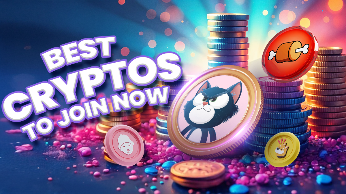 Meme Coins on the Verge of Breaking Out—Bonk, Brett, and a Secret Cat Play
