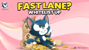 Test Rockets, Just a Chill Guy Keeps His Cool — Troller Cat Launches in Hours: You Blink, You Miss