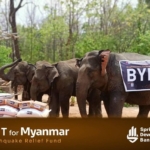 Bybit donates over $300,000 to support earthquake relief in Myanmar and Thailand