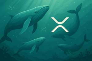 Whale Activity Tracked: Early Ripple (XRP) Investor Spotted Accumulating Remittix (RTX)