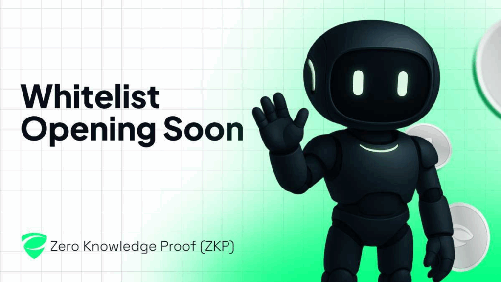 Get Whitelisted in Zero Knowledge Proof (ZKP): The Only Protocol That Slashes Hype and Rewards Proven Participation 