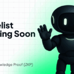 Get Whitelisted in Zero Knowledge Proof (ZKP): The Only Protocol That Slashes Hype and Rewards Proven Participation 
