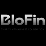 BloFin Donates 1 Million HKD to Support Hong Kong Fire Recovery Efforts