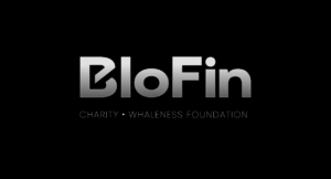 BloFin Donates 1 Million HKD to Support Hong Kong Fire Recovery Efforts