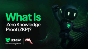Want Real Privacy Back? Zero Knowledge Proof (ZKP) Builds a Blockchain That Keeps Your Behaviour Off-Record
