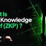 Beginner's Guide to Zero Knowledge Proof (ZKP): Privacy, AI, & Real Value in Action